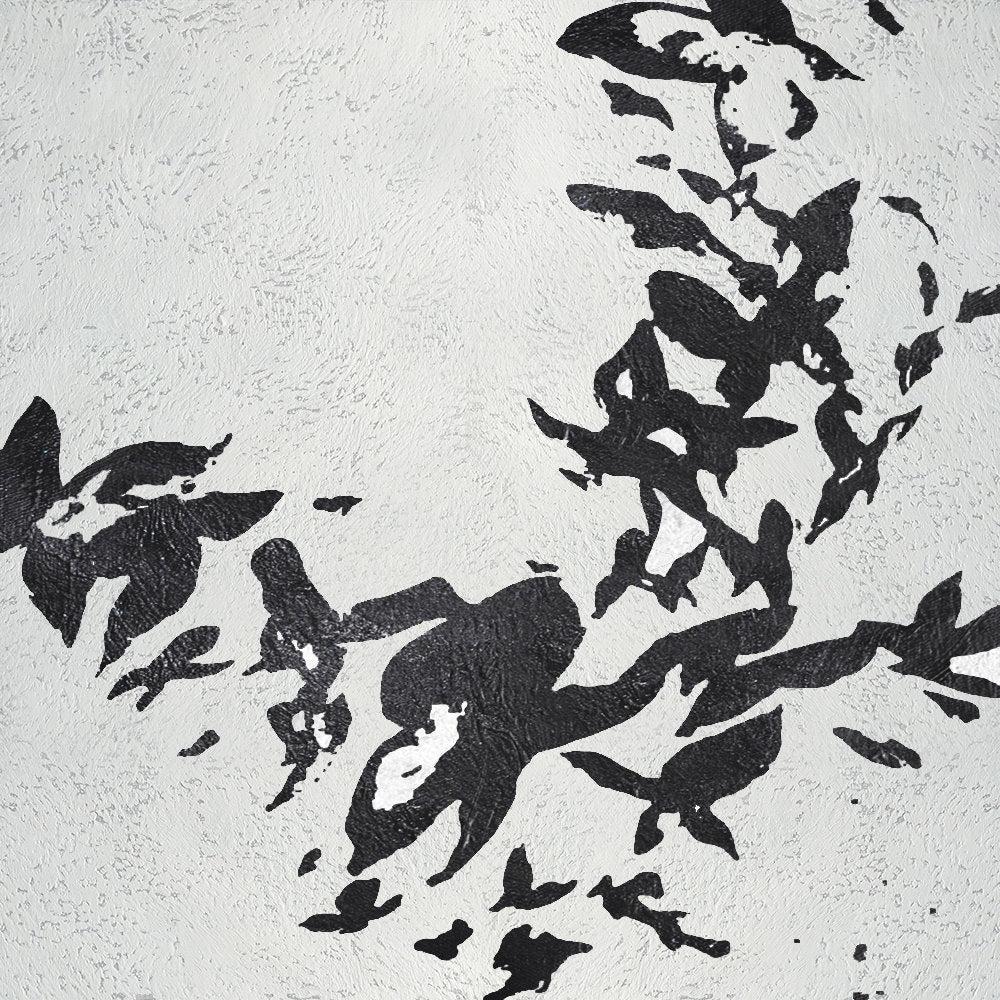 Constant - Kline Collective