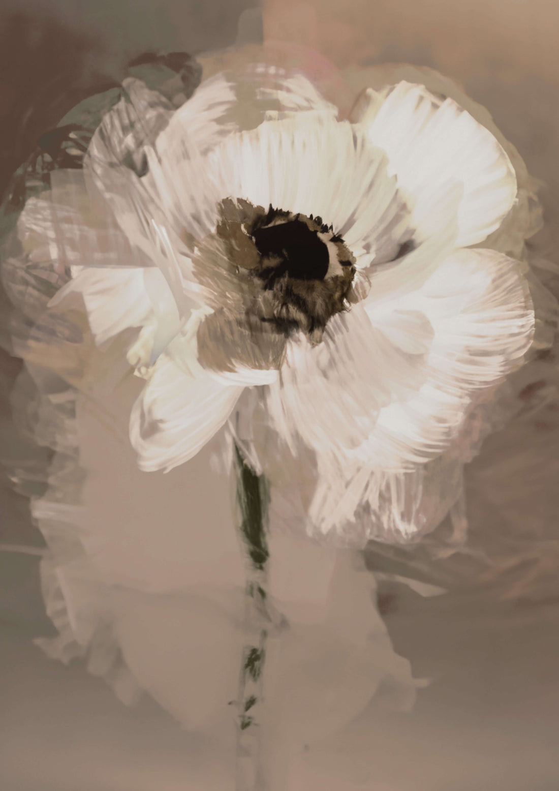 Muted Daisy - Hand Painting