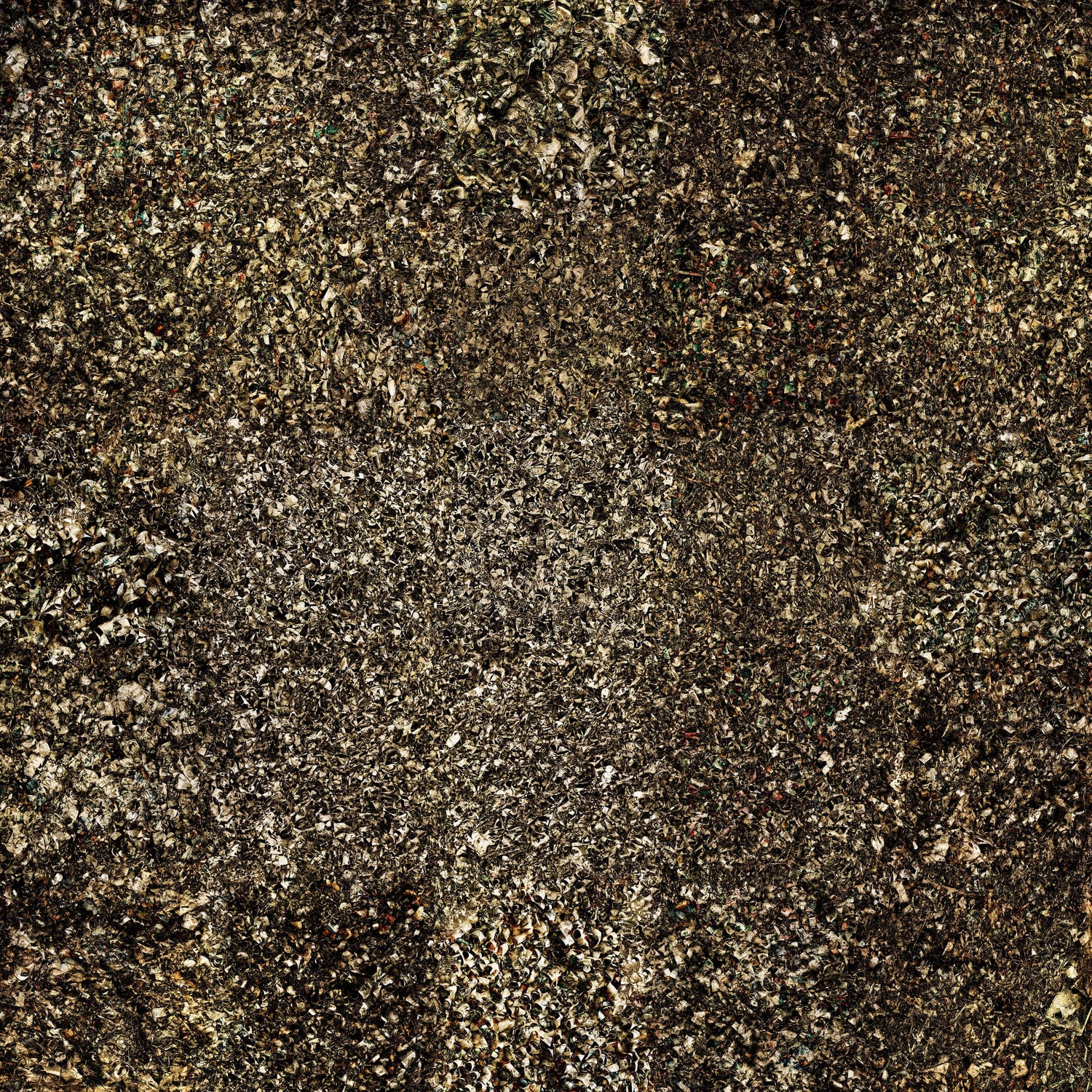 Pieces Interplay Jackson Pollock