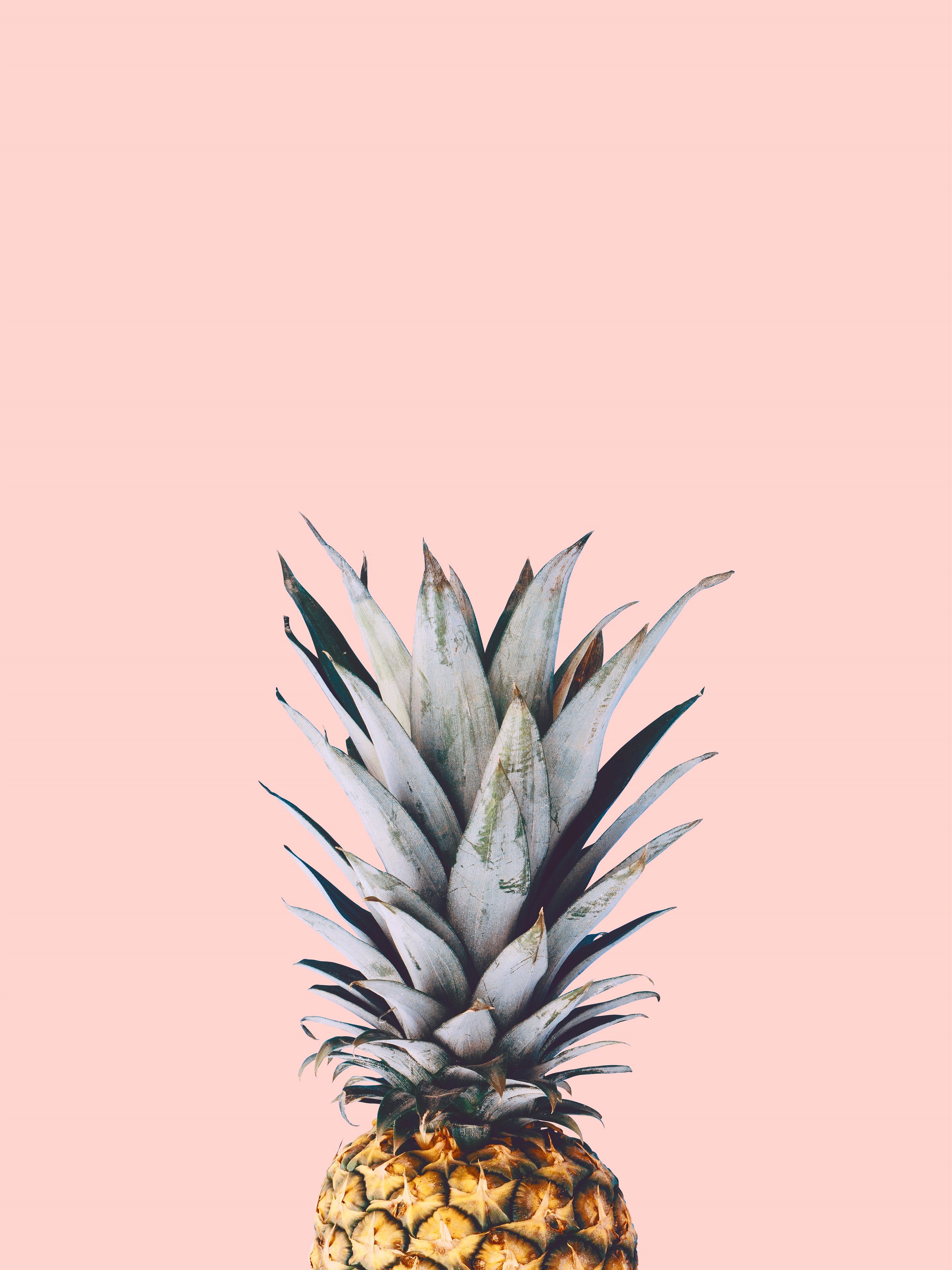 Pineapple on a Pink Background