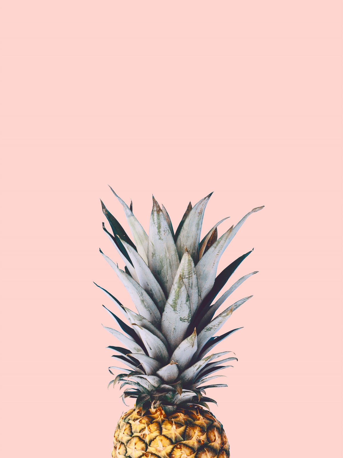 Pineapple on a Pink Background - Hand Painting