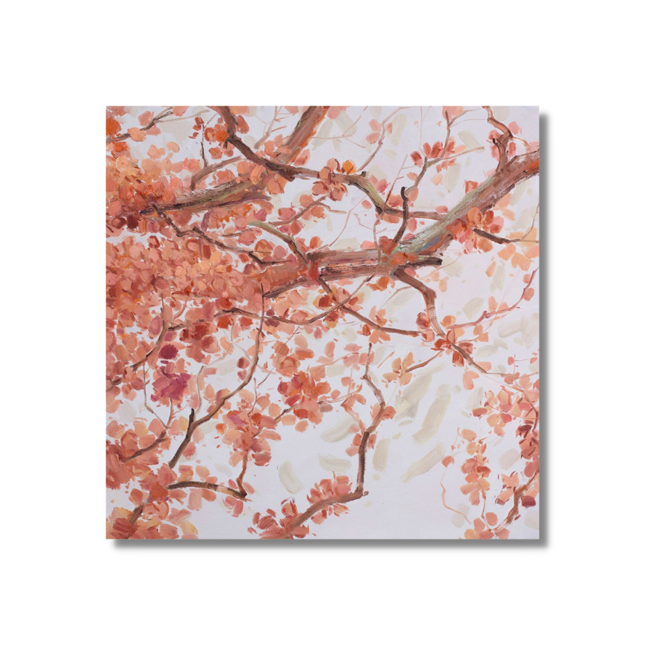 Sweetness is Divine - Kline Collective