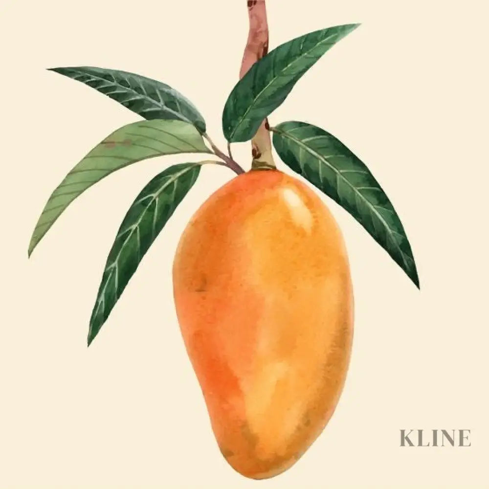 Mango - Hand Painting