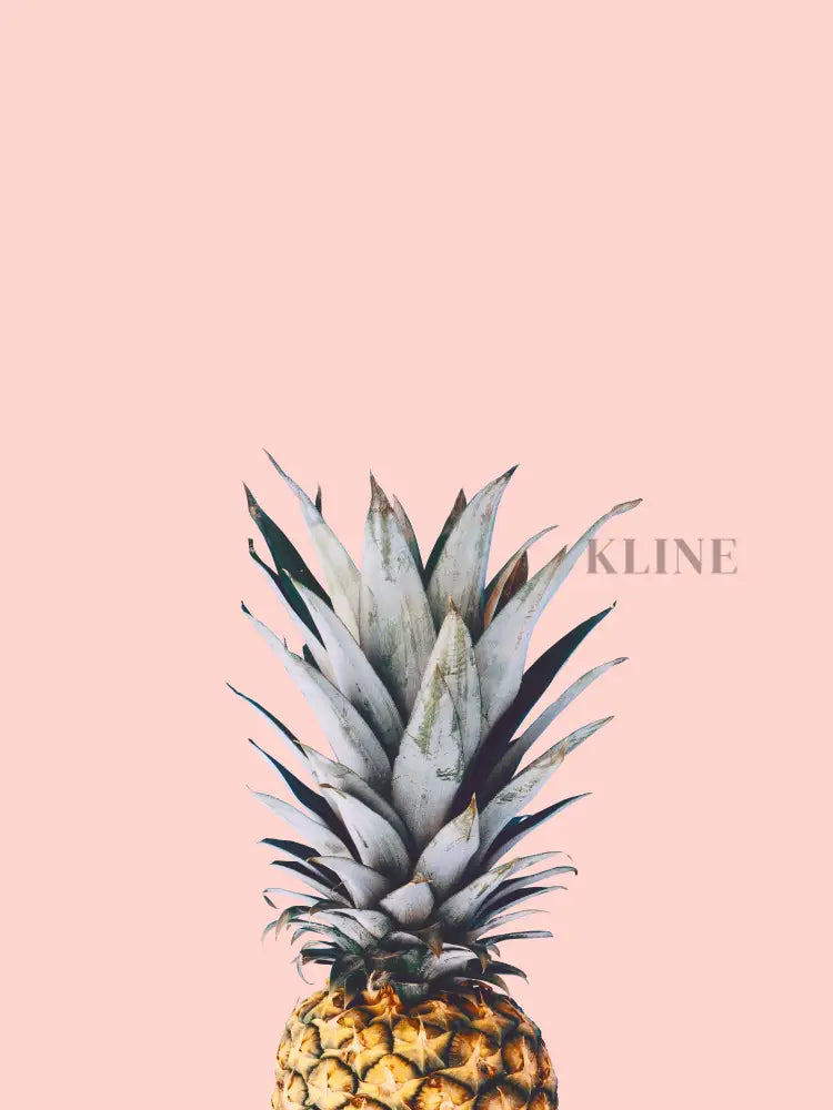 Pineapple on a Pink Background - Hand Painting