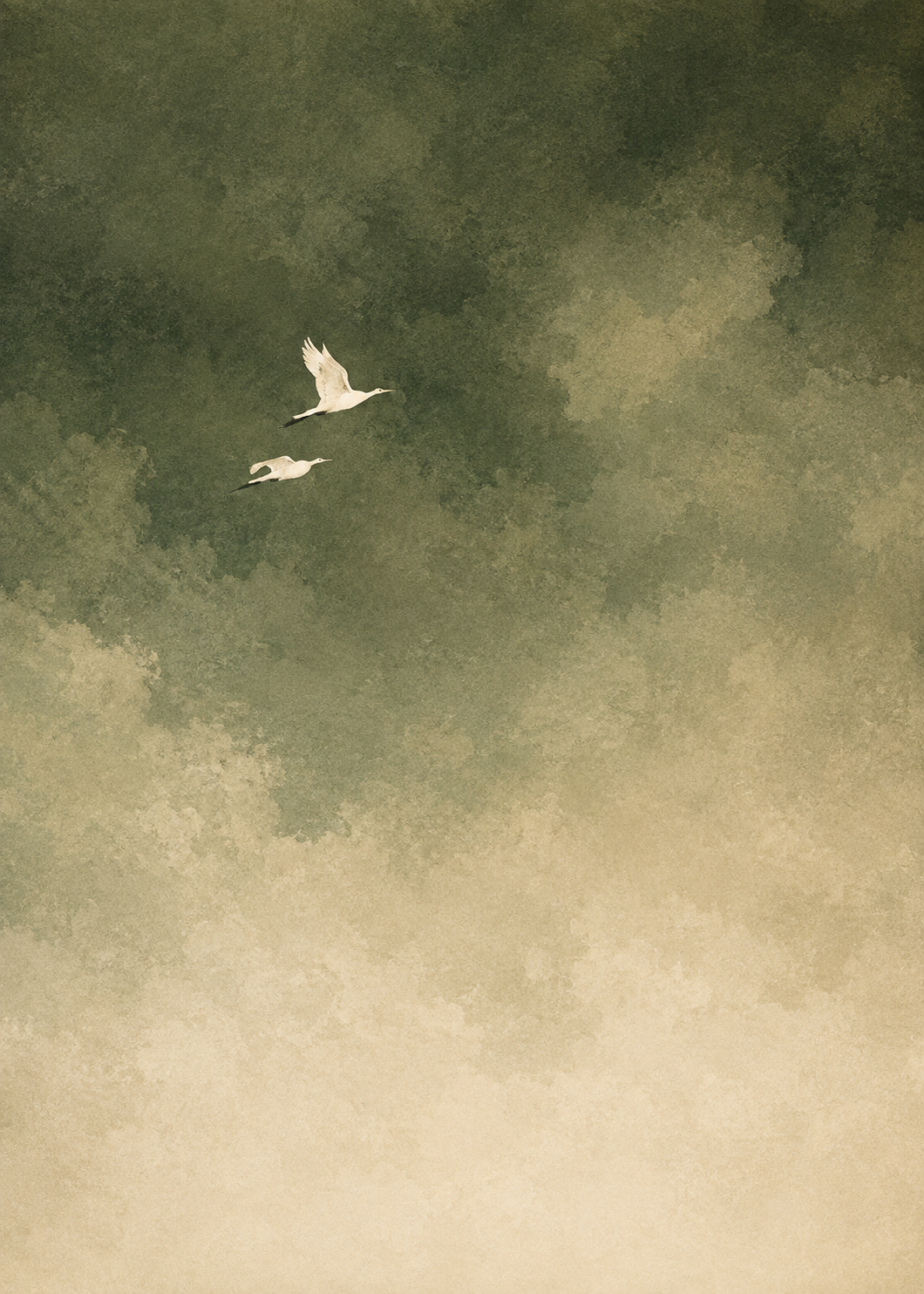 Aerial Reverie