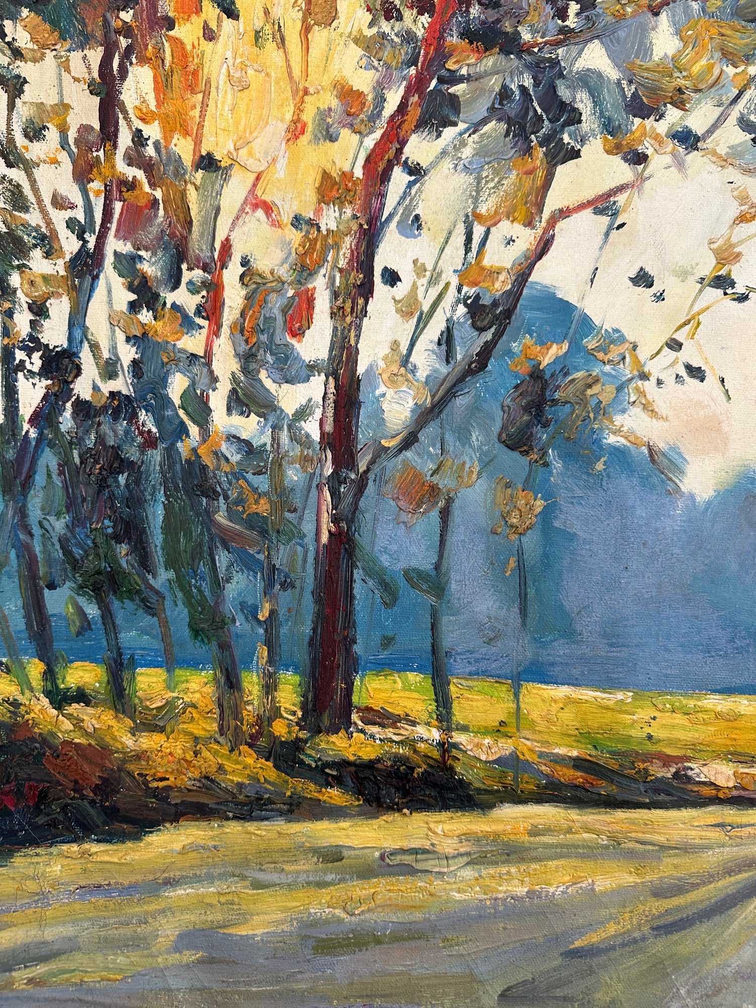 Finding Your Path Multicolore