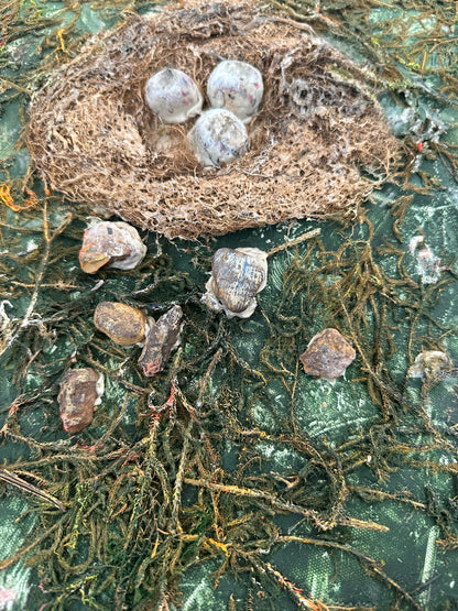 Nest of New Beginnings