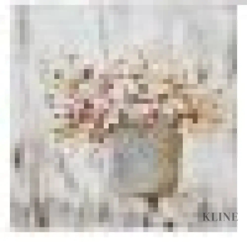 Bouquets - Kline Collective