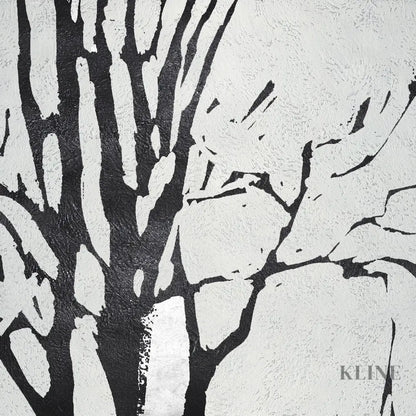 Cedar - Kline Collective