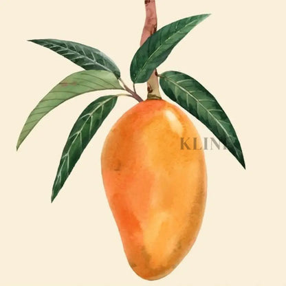 Mango - Hand Painting