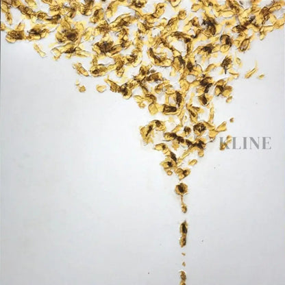 Meticulous - Kline Collective