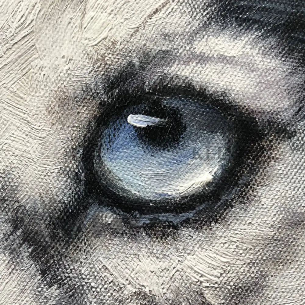 North Pole - Kline Collective
