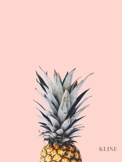 Pineapple on a Pink Background - Hand Painting
