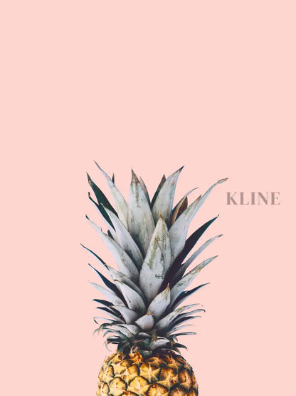 Pineapple on a Pink Background - Hand Painting