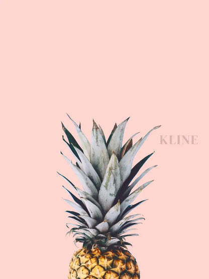 Pineapple on a Pink Background - Hand Painting