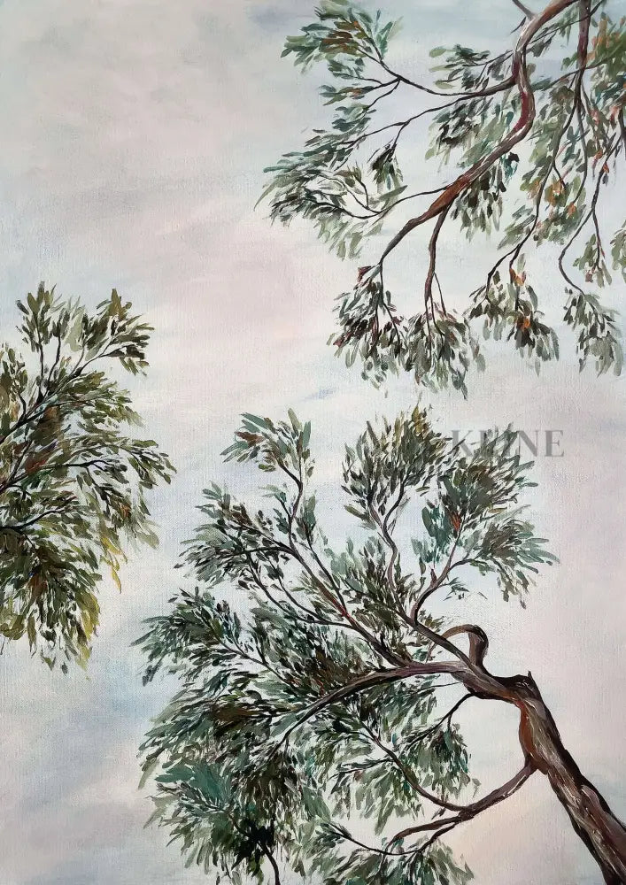 Scrubby Corner Canopy 2 - Hand Painting قماش جدار الفن