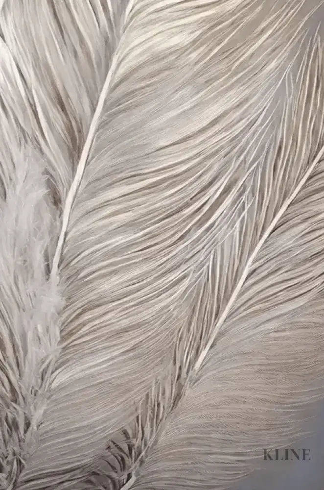 Silver Feather - Hand Painting