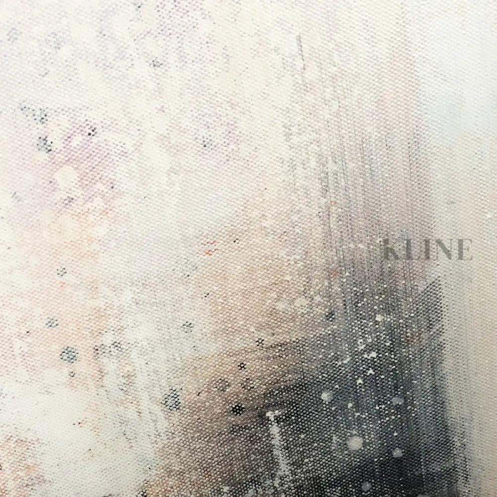 Wonder - Kline Collective 